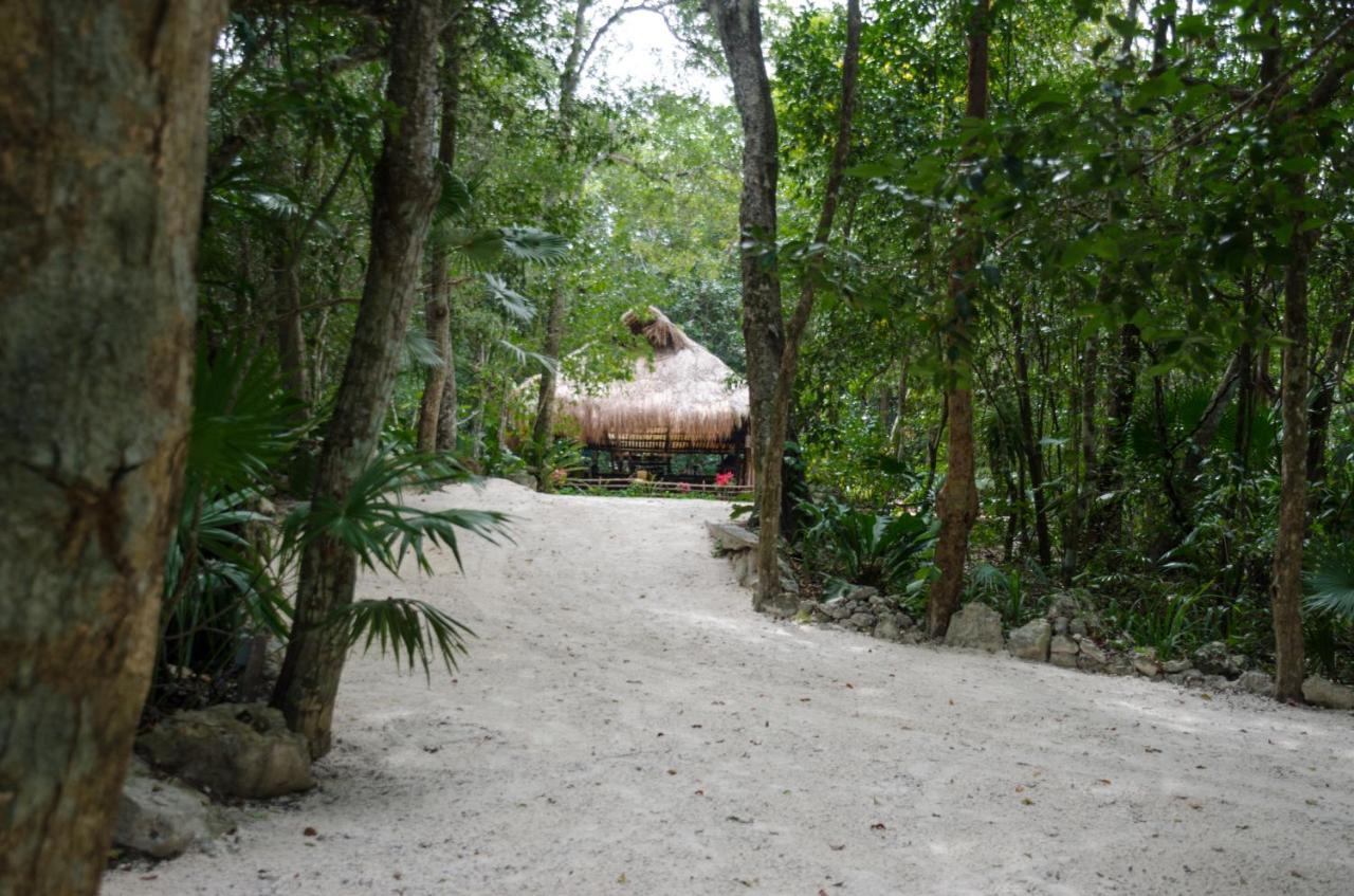 Luxury tent Glamping Mama Loo Mm 3*