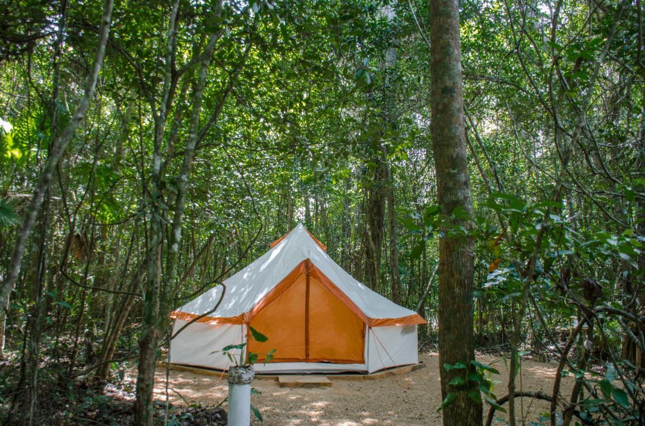 Luxury tent Glamping Mama Loo Mm 3*