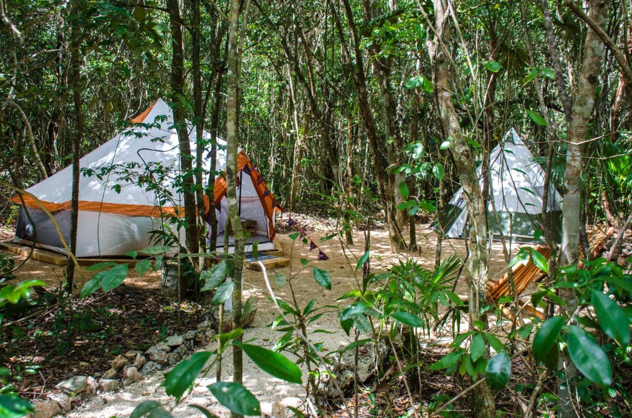 Glamping Mama Loo Mm 3* Puerto Morelos