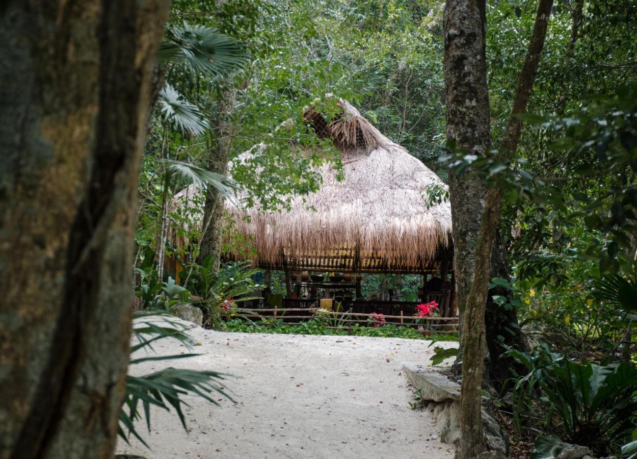 Glamping Mama Loo Mm Campo de lujo