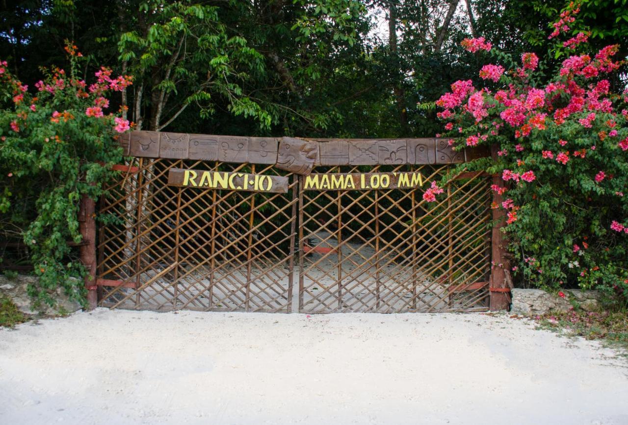 Glamping Mama Loo Mm 3*