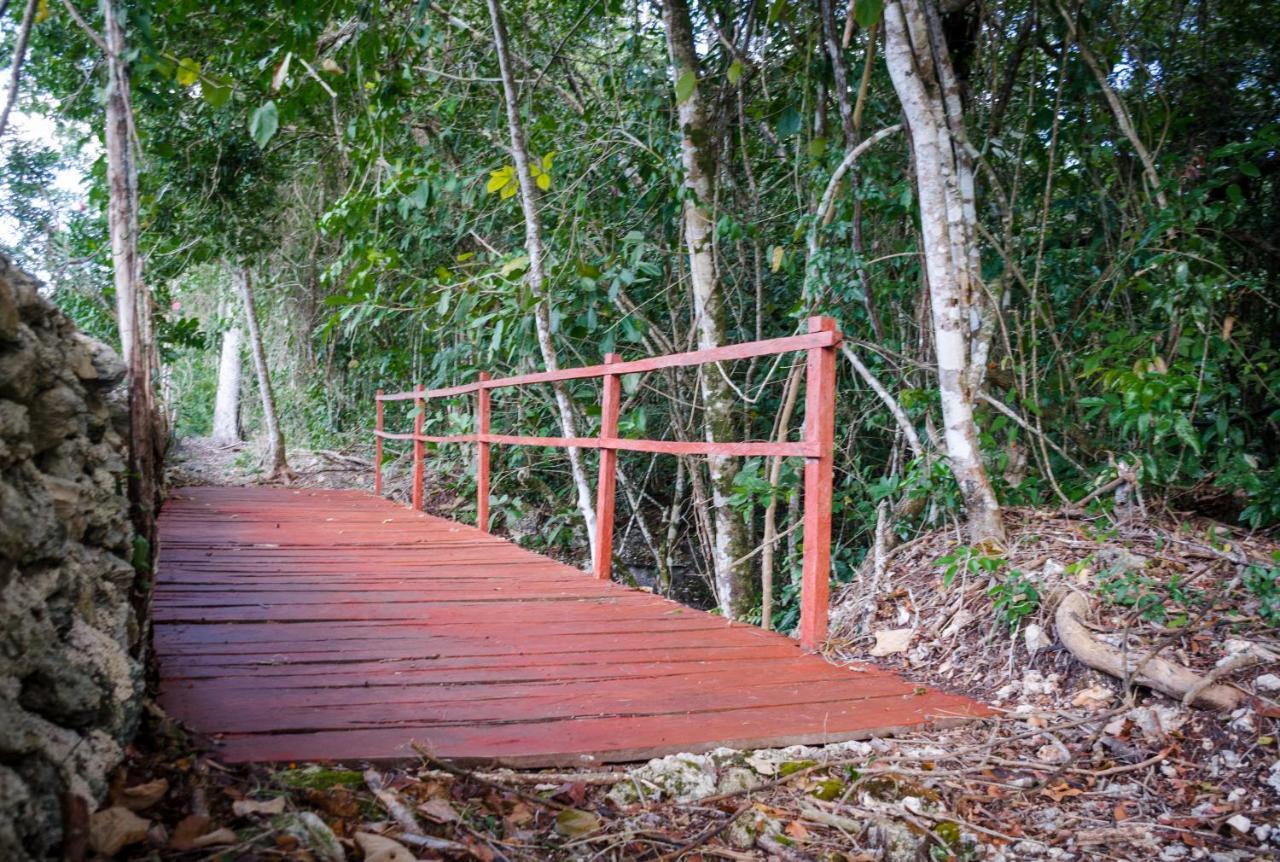 Campo de lujo Glamping Mama Loo Mm Puerto Morelos