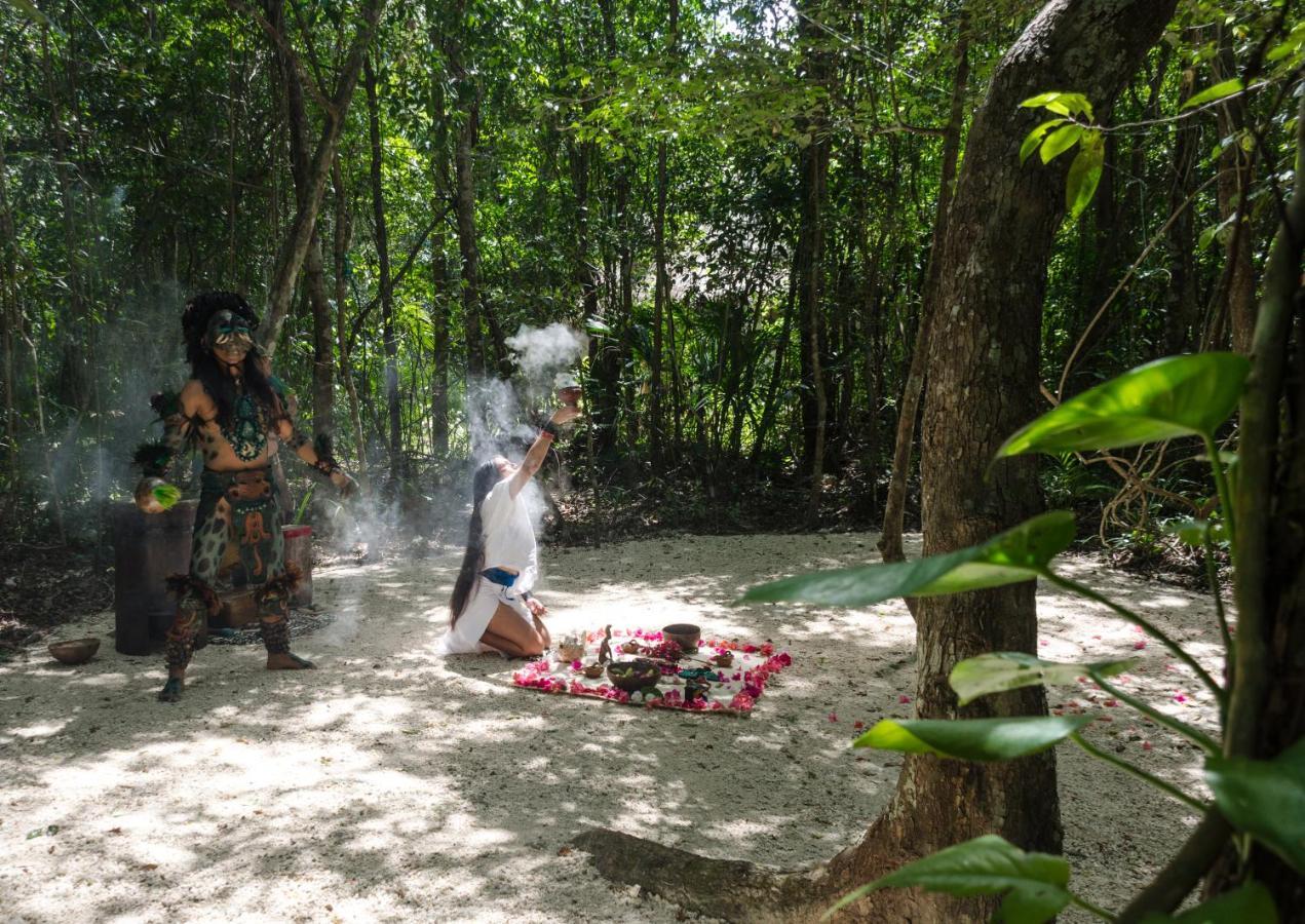 Glamping Mama Loo Mm Puerto Morelos