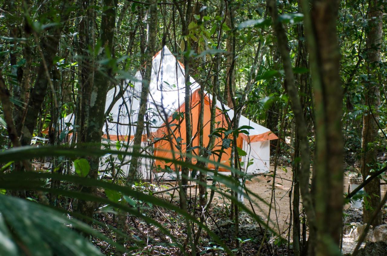 Glamping Mama Loo Mm Campo de lujo
