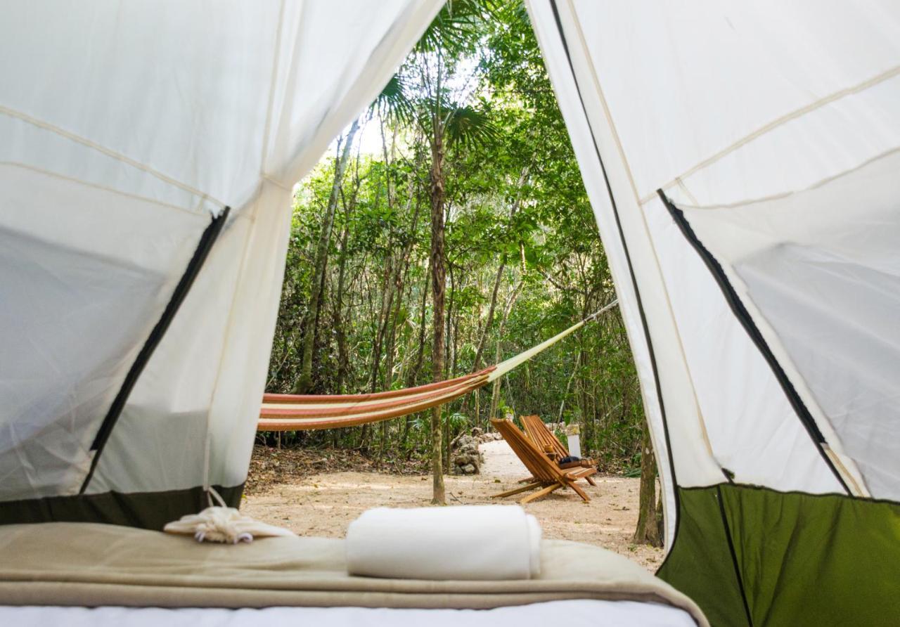Glamping Mama Loo Mm Campo de lujo